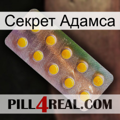 Секрет Адамса new11